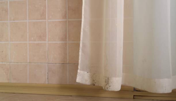 Best Mold Removal for HVAC Installations  in Arnold, MO