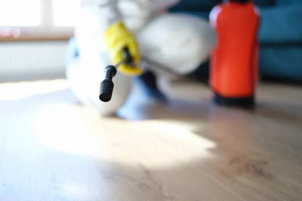 Best Commercial Mold Inspection  in Arnold, MO